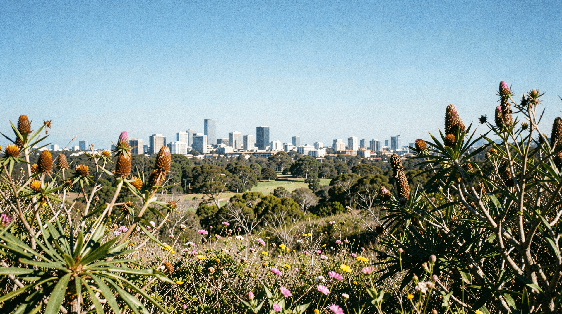Western Australia State Nomination 2026